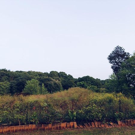 Laforesta By Mahabaleshwar Stay Екстер'єр фото